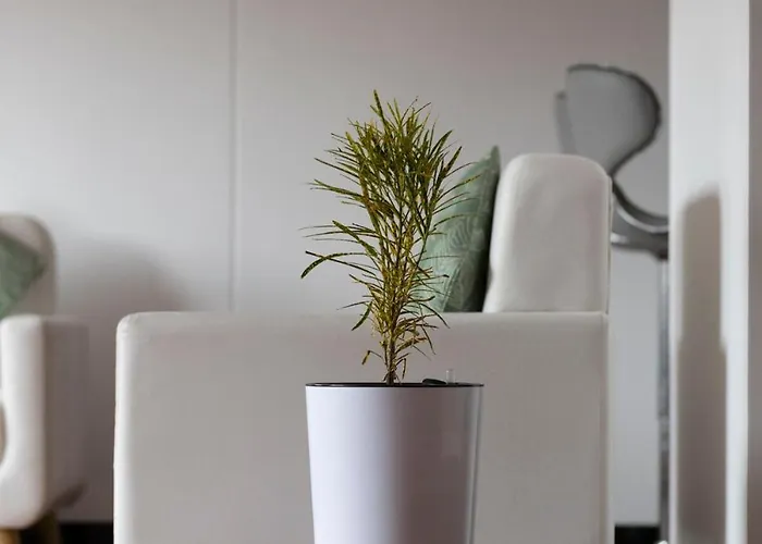 Modern - 10 Min To Center Apartment Cusco